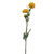 Chrysanthemum Stem, yellow