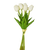 White Tulip Bunch
