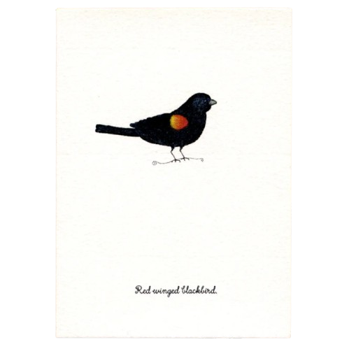 Tiny Boxed Cards - Birds