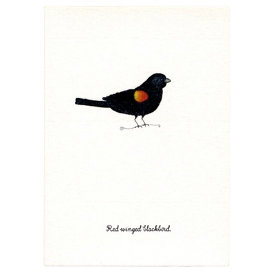 Tiny Boxed Cards - Birds
