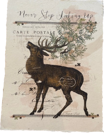 12x16 Artisan Paper Print, never stop looking up