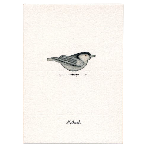 Tiny Boxed Cards - Birds