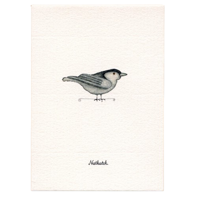 Tiny Boxed Cards - Birds