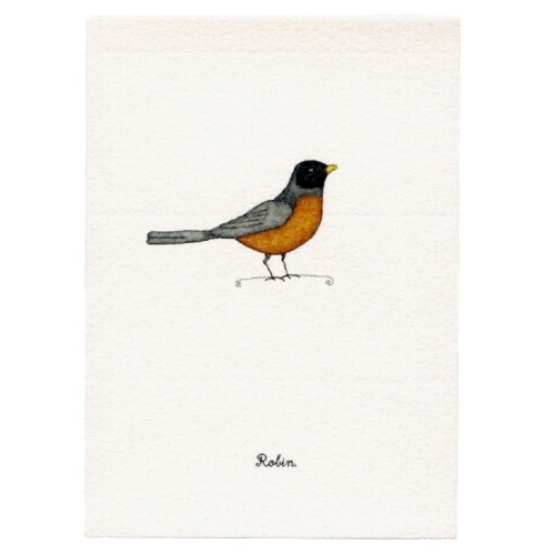 Tiny Boxed Cards - Birds