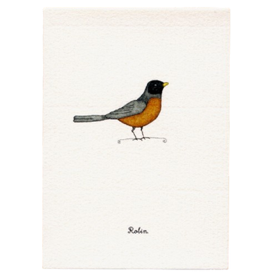 Tiny Boxed Cards - Birds