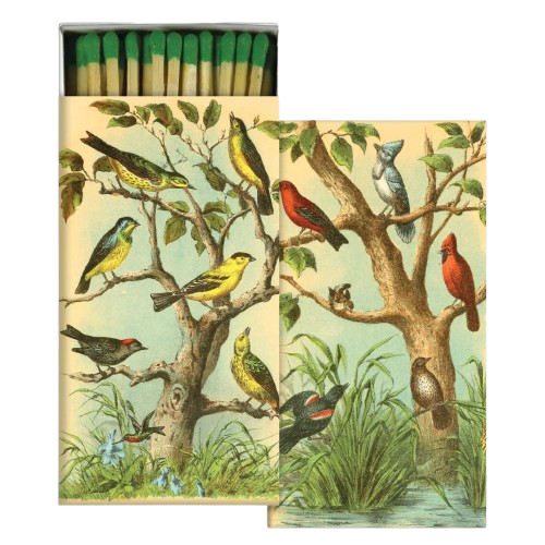 Safety Matches - Birds