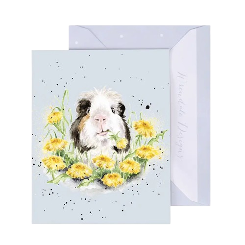 Gift Enclosure Card - Dandy Day