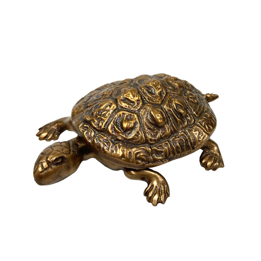 Brass Turtle Box