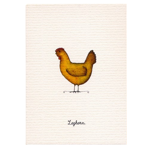 Tiny Boxed Cards - Chickens