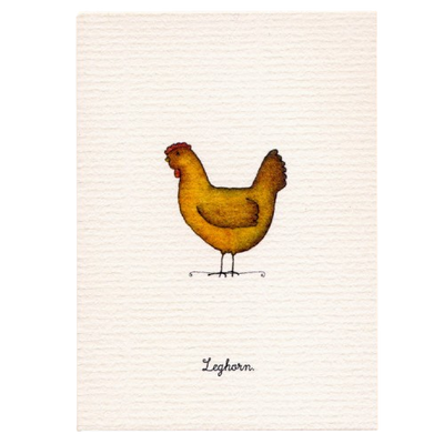 Tiny Boxed Cards - Chickens