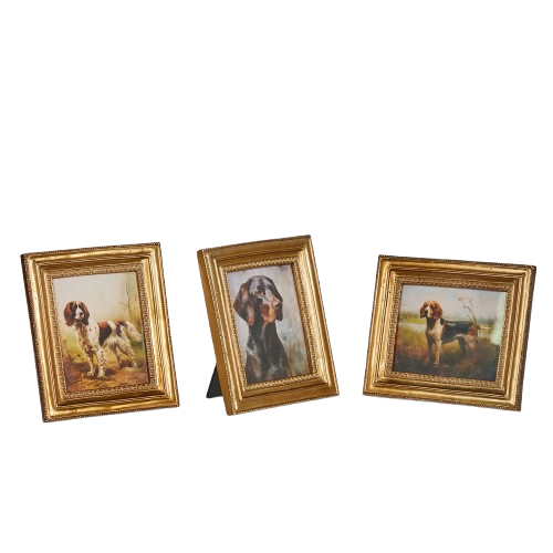 Framed Bird Dog (small)