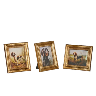 Framed Bird Dog (small)