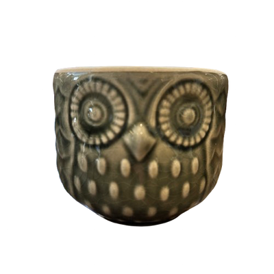 Stoneware Owl Container (small)