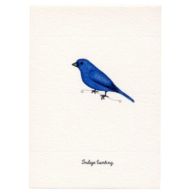 Tiny Boxed Cards - Birds