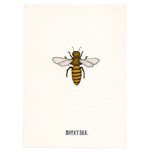 Tiny Greeting Card - Honeybee