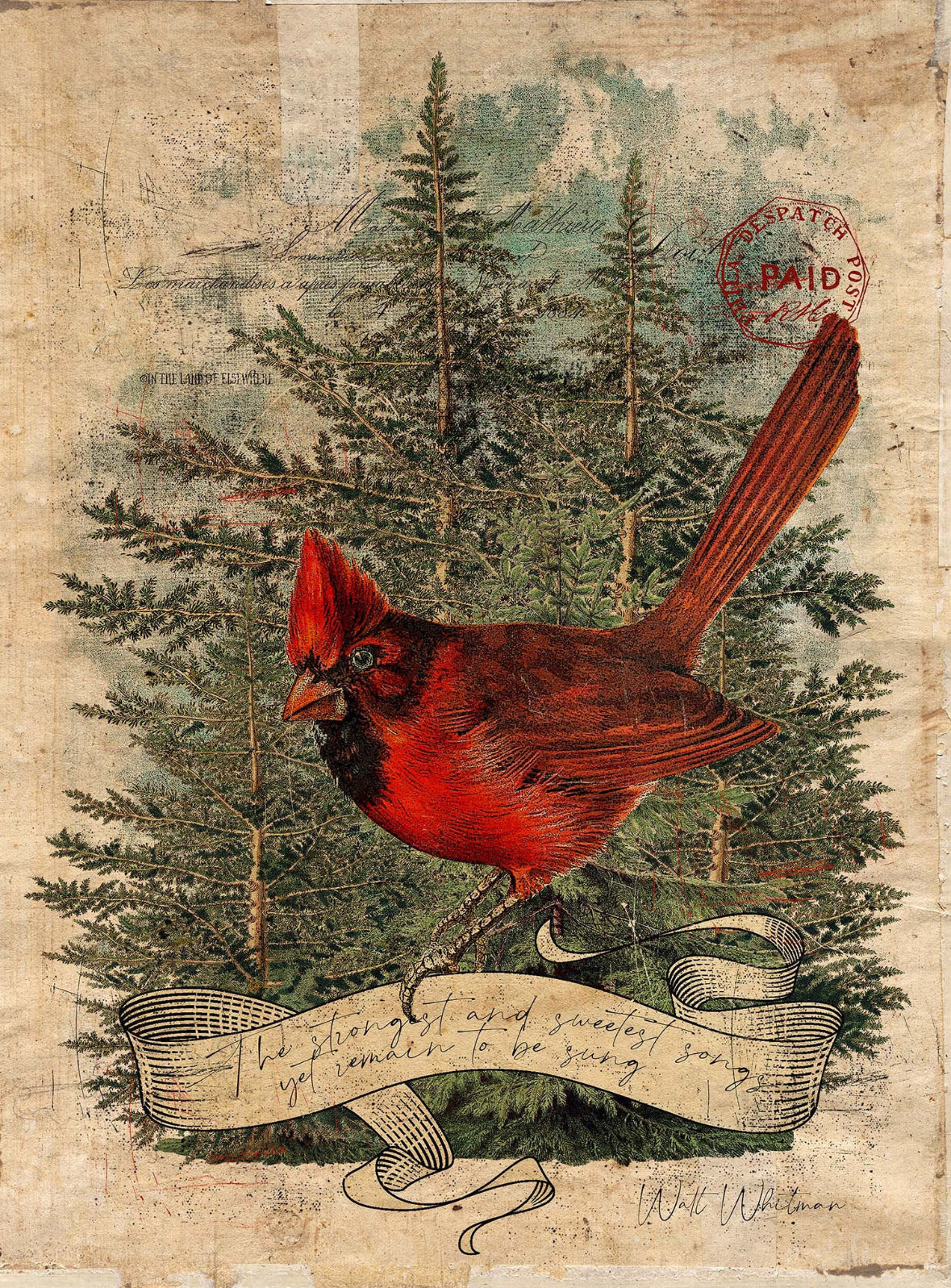 Artisan Tapestry, cardinal
