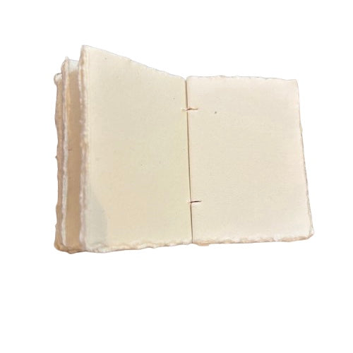 Christmas Journal (small)