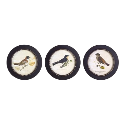 Framed Bird Print, round