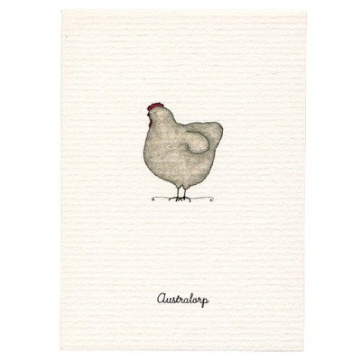Tiny Boxed Cards - Chickens