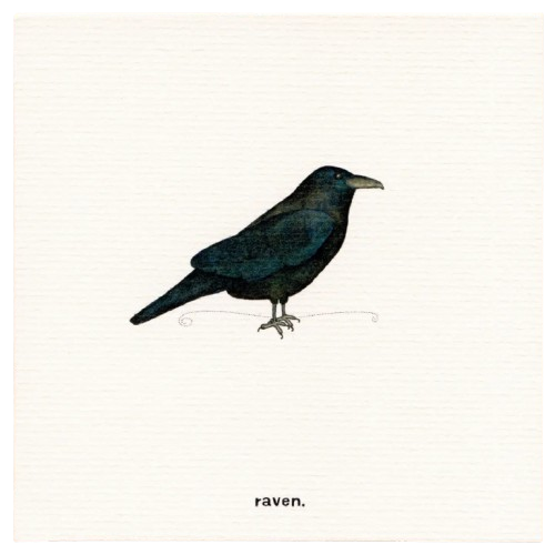 Greeting Card - Raven