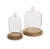 Glass Cloche/Wooden Base (medium)