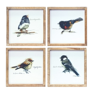 Framed Bird Print, square
