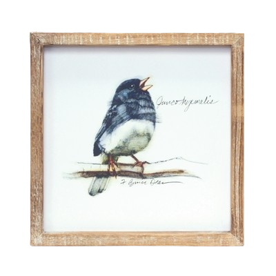 Framed Bird Print, square