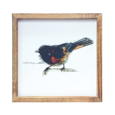 Framed Bird Print, square
