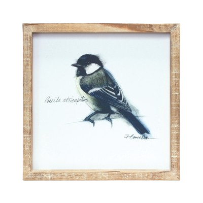 Framed Bird Print, square