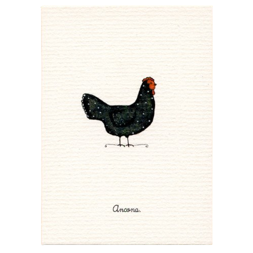 Tiny Boxed Cards - Chickens