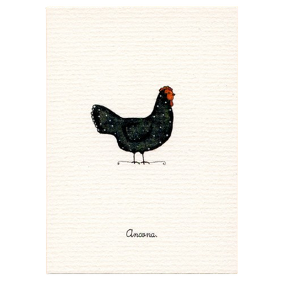 Tiny Boxed Cards - Chickens
