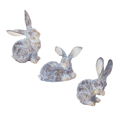 Small Floppy Eared Rabbit