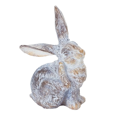 Small Floppy Eared Rabbit