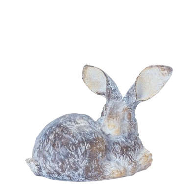 Small Floppy Eared Rabbit