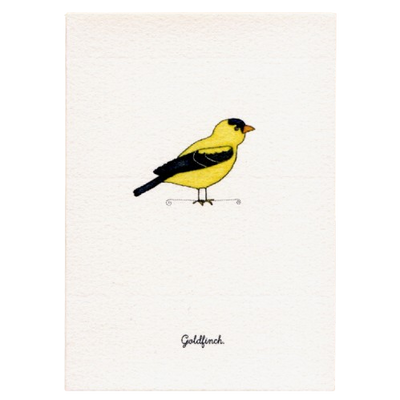 Tiny Boxed Cards - Birds