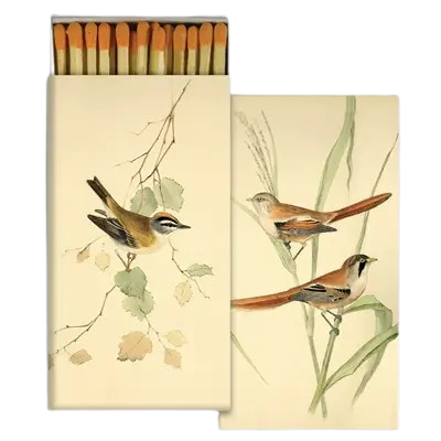 Safety Matches - English Birds