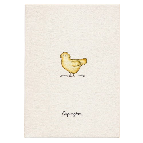 Tiny Boxed Cards - Chickens