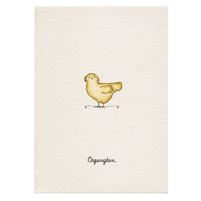 Tiny Boxed Cards - Chickens