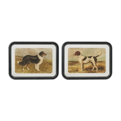 Framed Dog Print