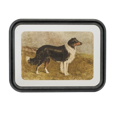 Framed Dog Print