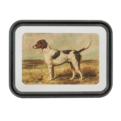 Framed Dog Print