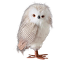 Standing Owl