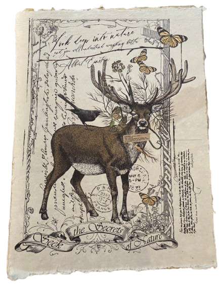 12x16 Artisan Paper Print, look deep into nature