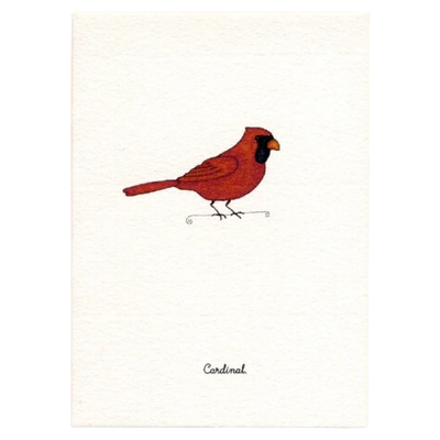 Tiny Boxed Cards - Birds