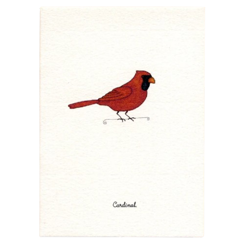 Tiny Boxed Cards - Birds