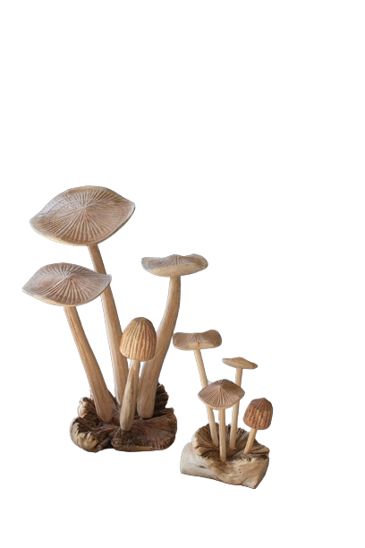 Carved Teak Mushrooms