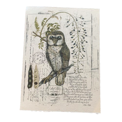 12x16 Artisan Paper Print, seek peace and pursue it (owl)