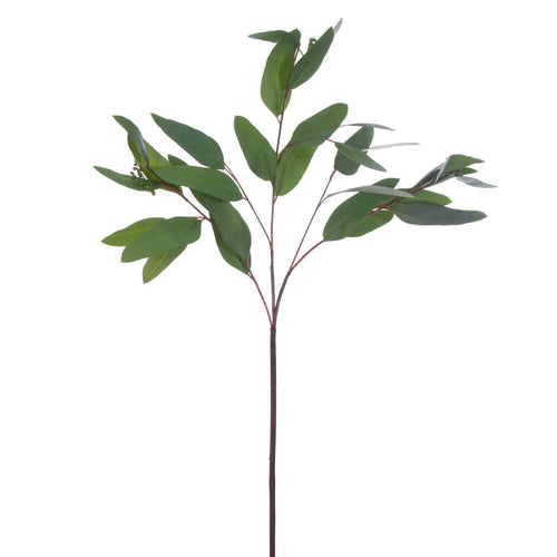 Seeded Eucalyptus Spray