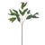 Seeded Eucalyptus Spray