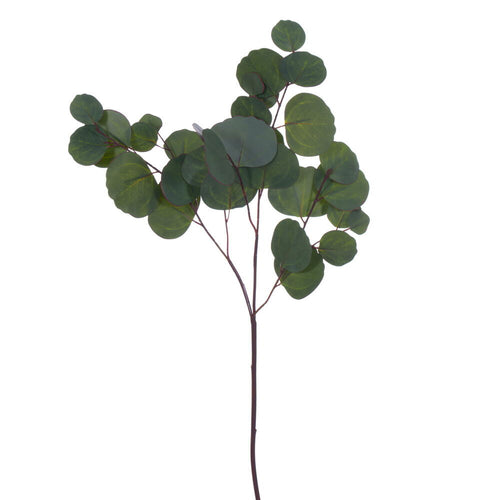 Silver Dollar Eucalyptus Spray
